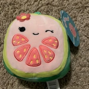 Watermelon squishmellow
